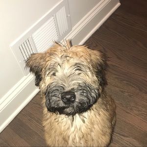 Meet your Posher, Kirk